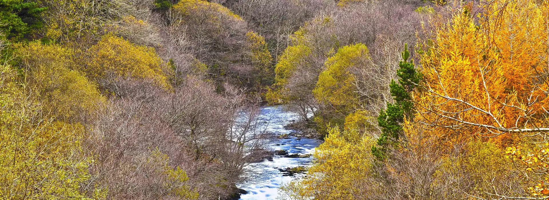 Campsites near Afan Forest Park