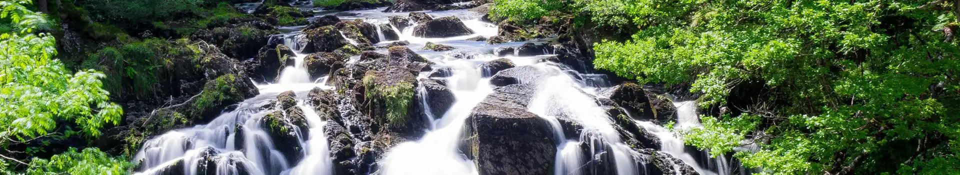 Campsites near Swallow Falls