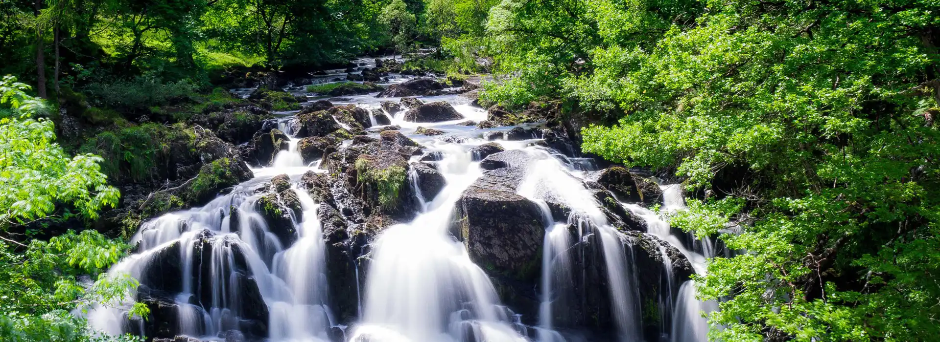 Campsites near Swallow Falls