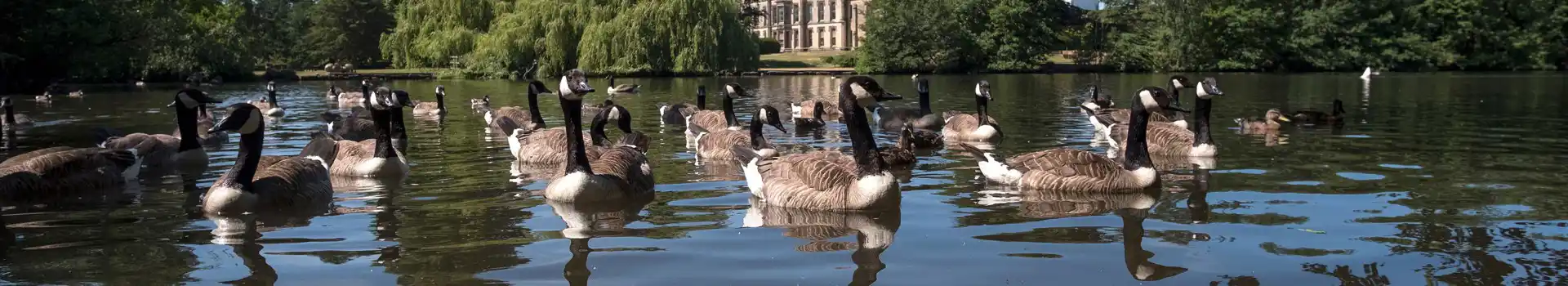 Campsites near Elvaston Castle