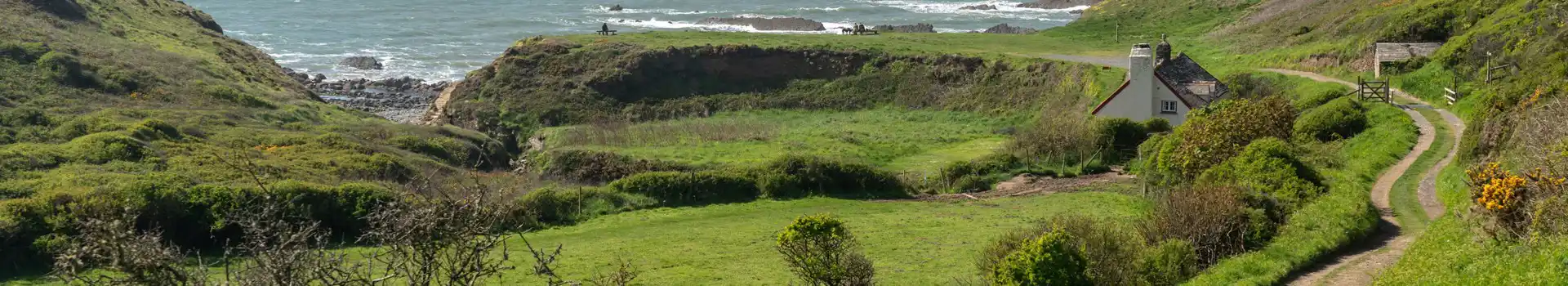 Campsites near Hartland Quay