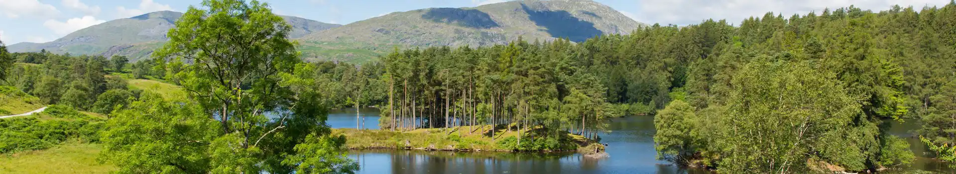 Campsites near Tarn Hows