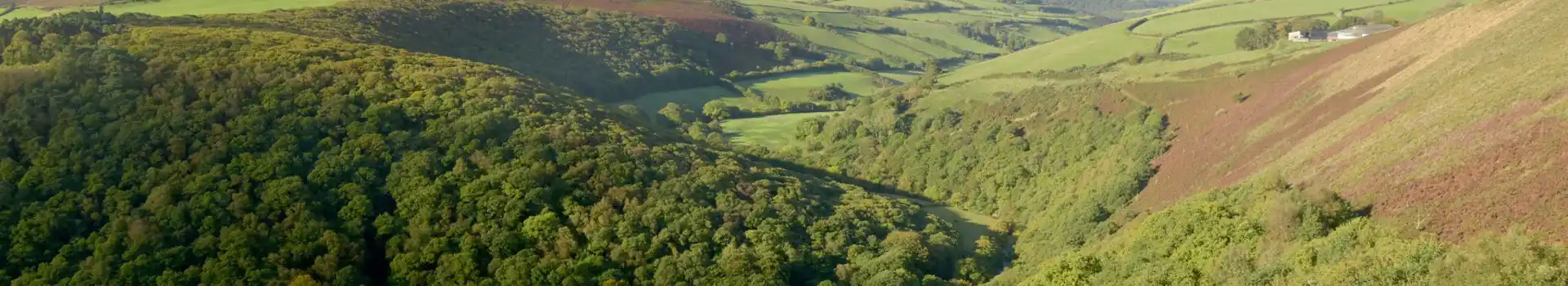 Campsites near the Brendon Hills