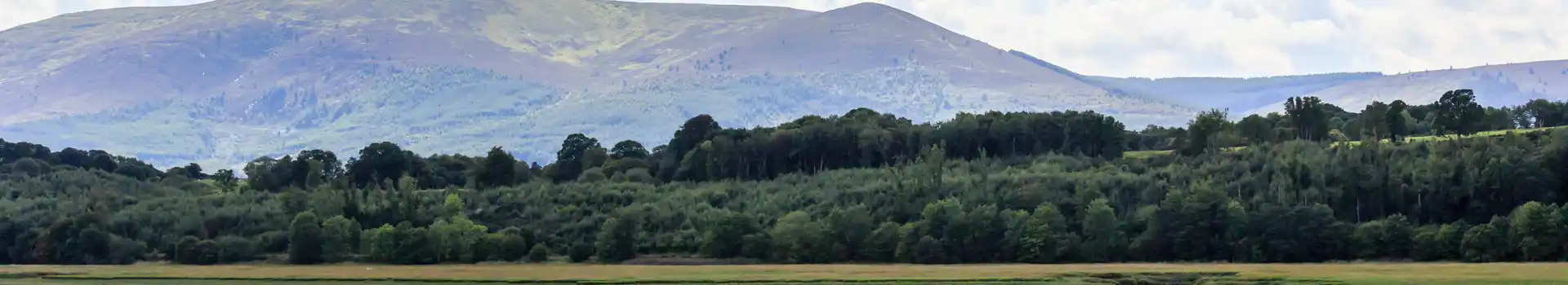 Criffel campsites