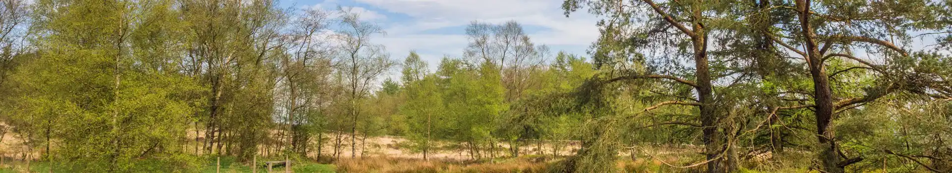 Campsites near Beacon Fell