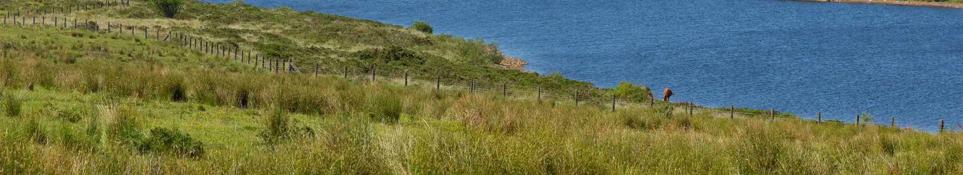 Campsites near Colliford Lake