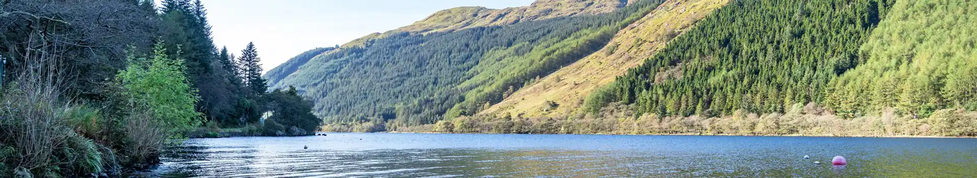 Campsites near Loch Eck