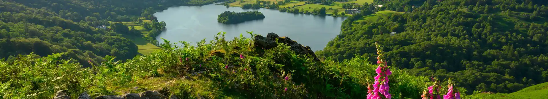 Campsites near Loughrigg Fell