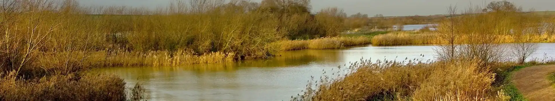 Campsites near Stanwick Lakes