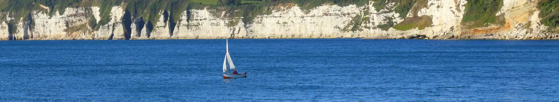Campsites near Lyme Bay