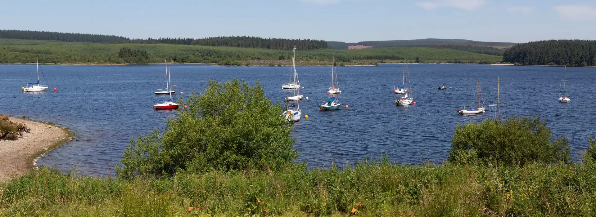 Campsites near Llyn Brenig