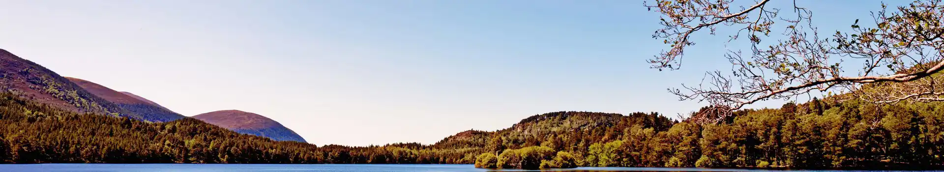 Campsites near Rothiemurchus