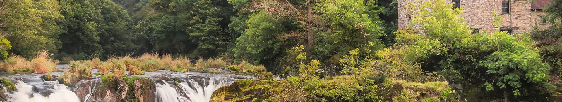 Cenarth Falls