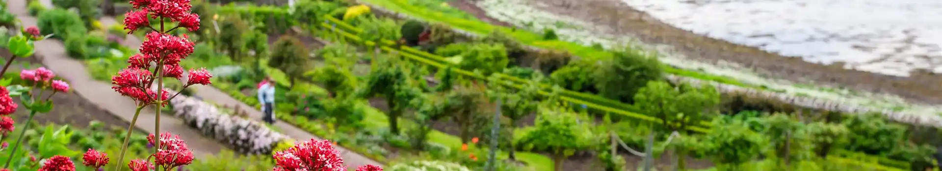 Campsites near Inverewe