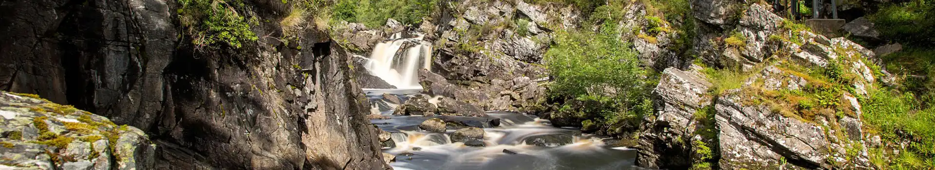 Campsites Near Rogie Falls