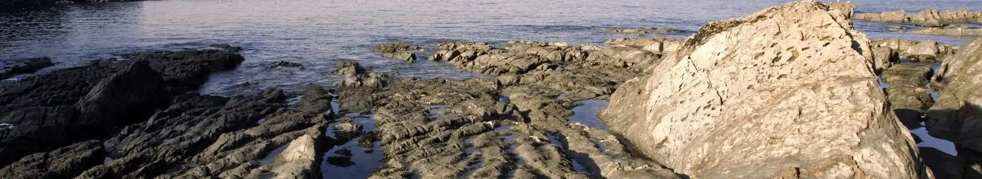 Campsites Near Lee Bay