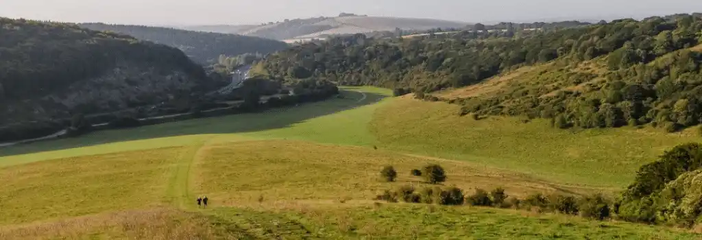 Campsites Near Queen Elizabeth Country Park