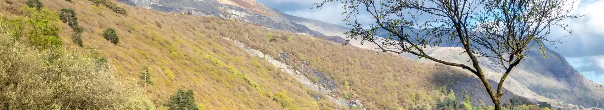 Adventure Parc Snowdonia