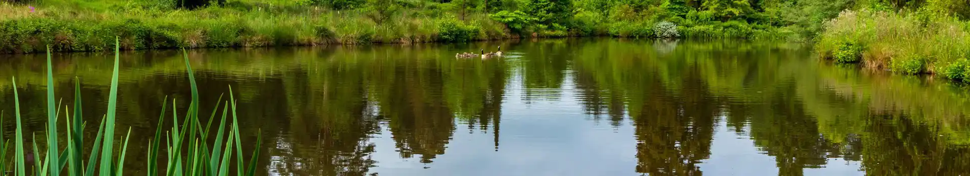 Bedgebury Pinetum and Forest