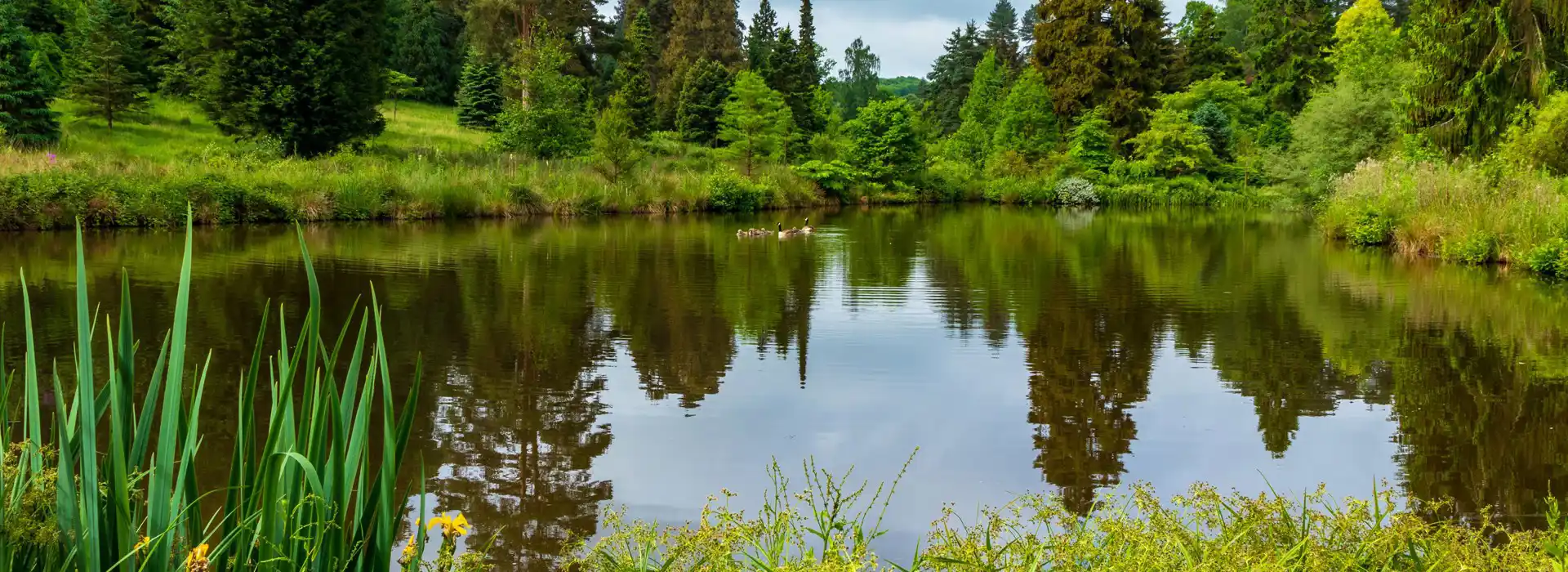 Bedgebury Pinetum and Forest
