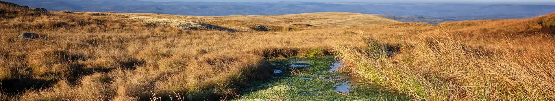 Fforest Fawr Geopark