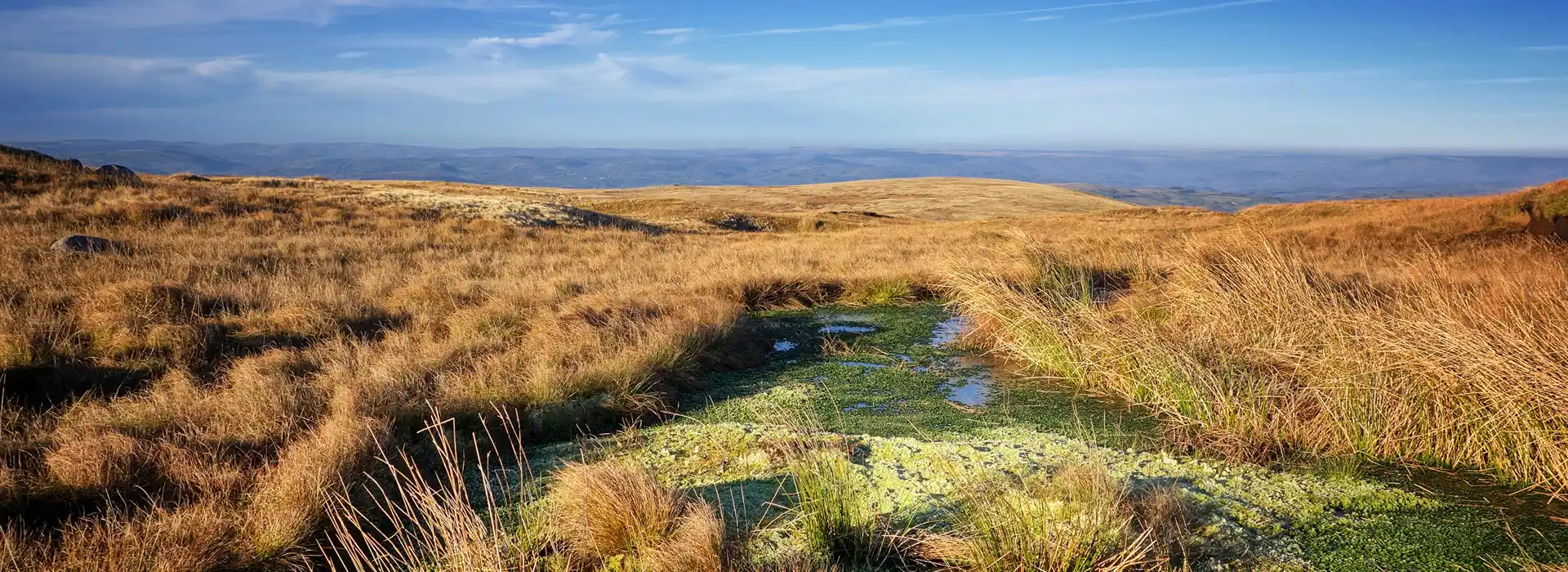 Fforest Fawr Geopark