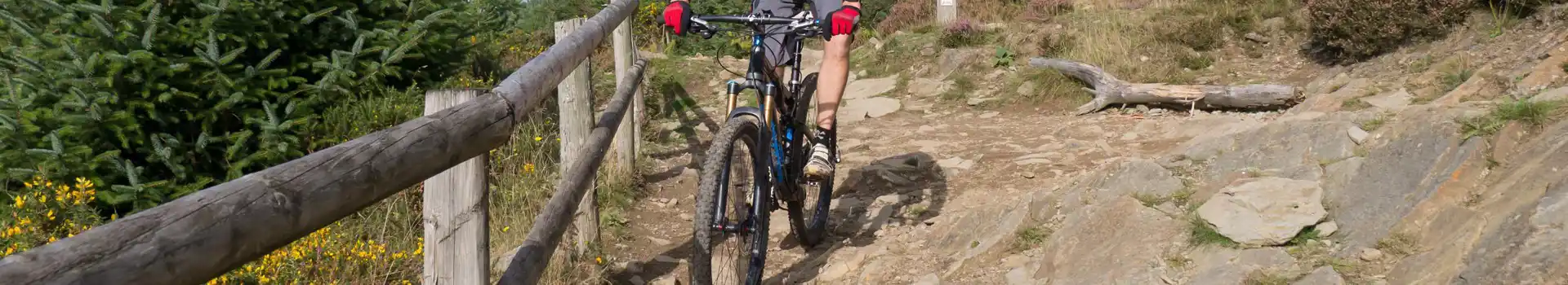 BikePark Wales