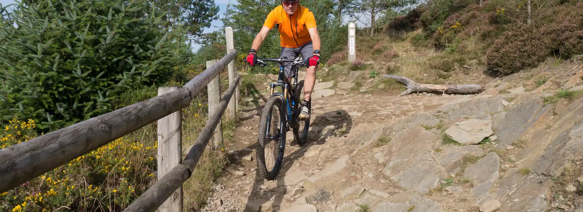 BikePark Wales