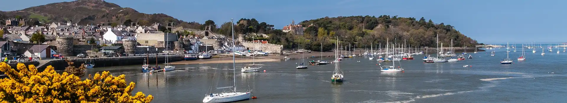 Campsites near Conwy Quay 