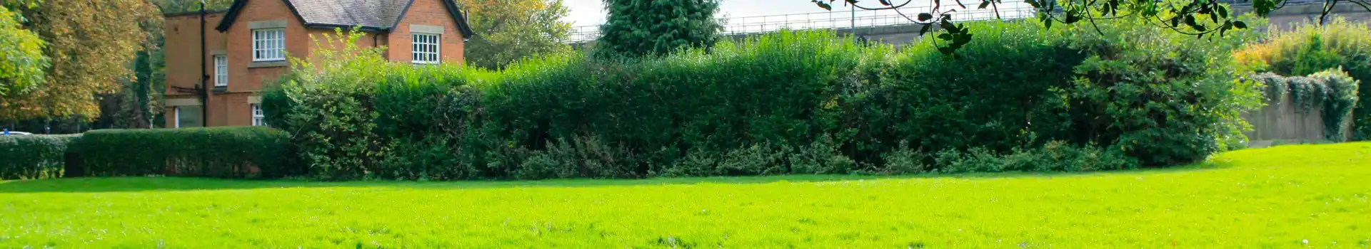 park