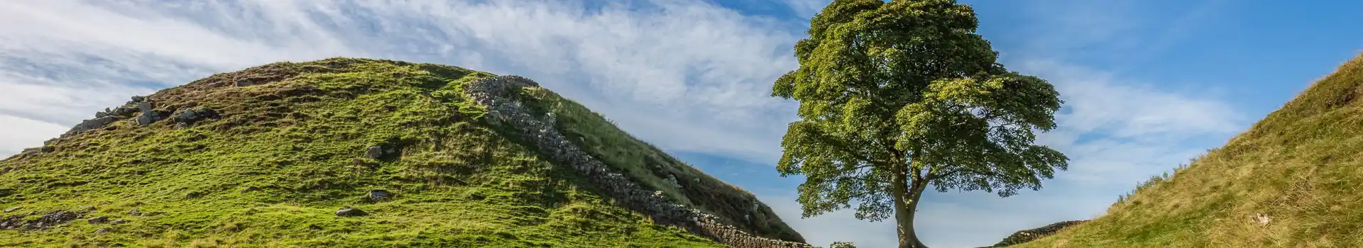 Sycamore Gap