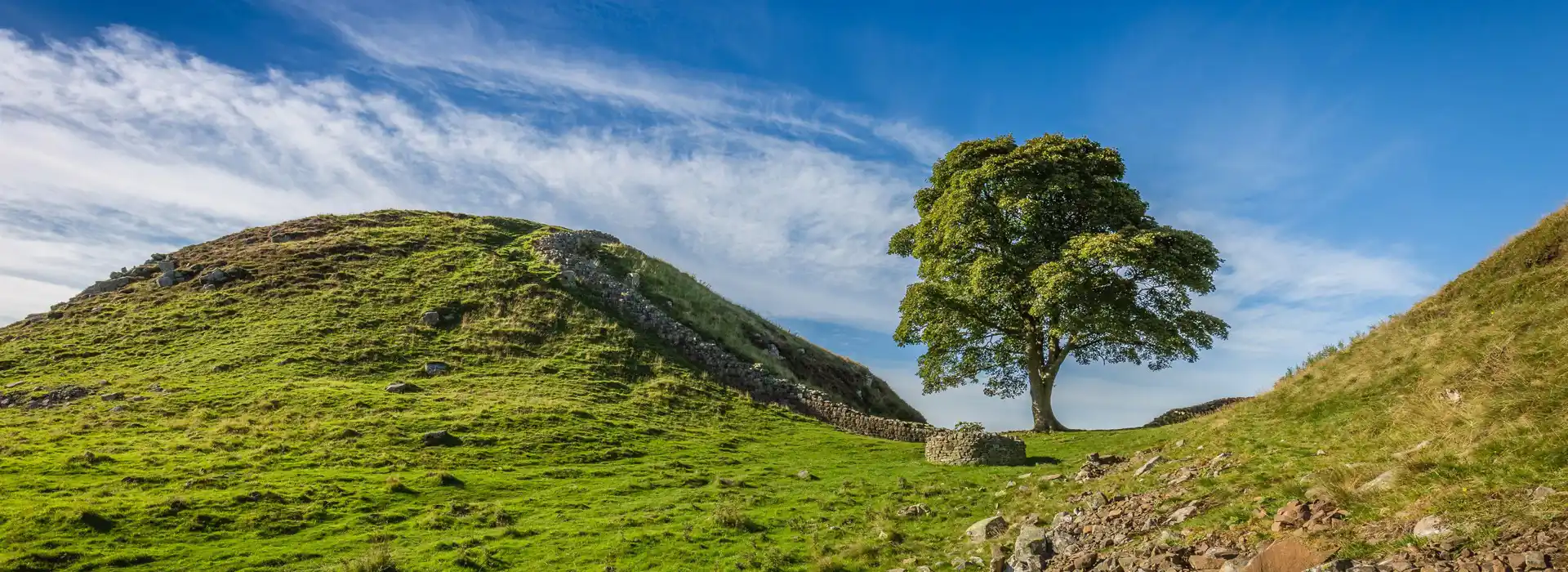 Sycamore Gap