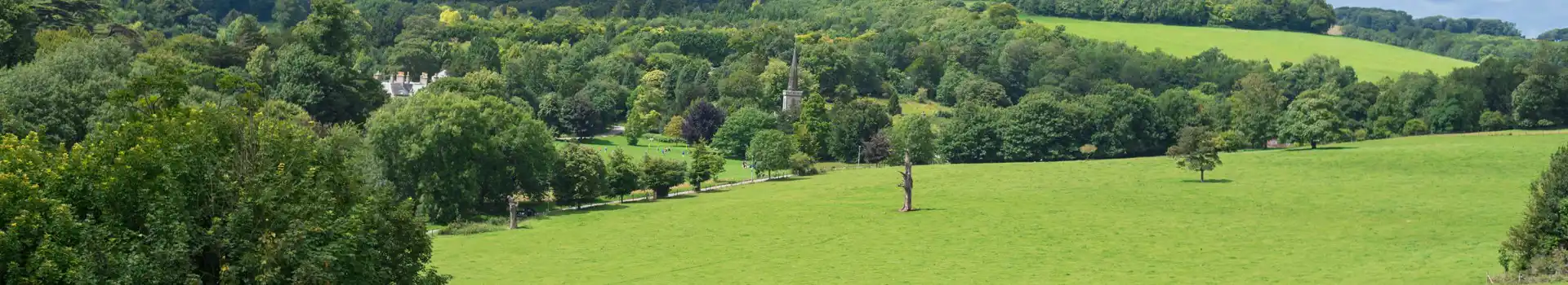 Campsites near stanmer park