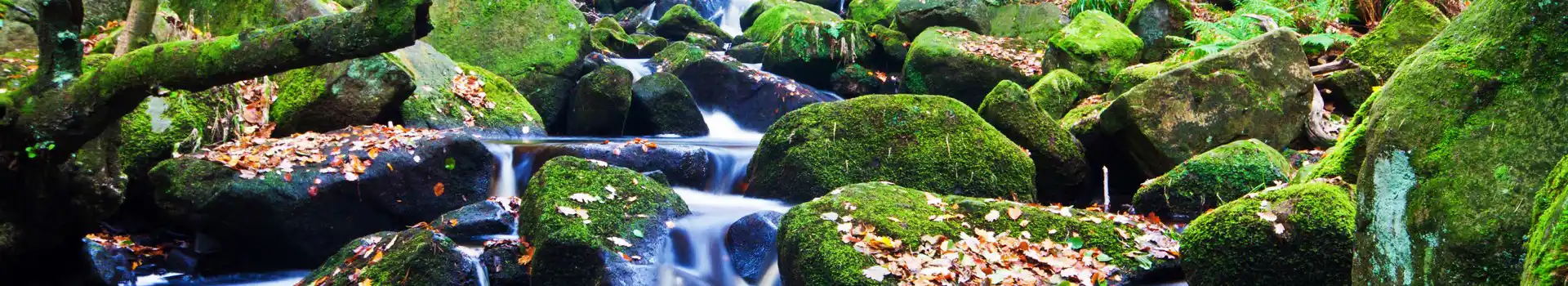 Campsites near padley gorge 