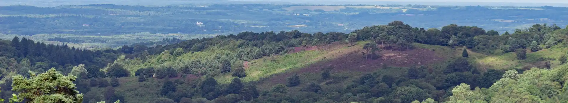 Devil's Punch Bowl 