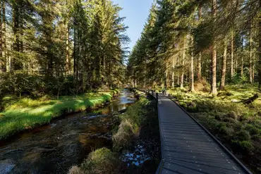 Hafren Forest Hafren Forest