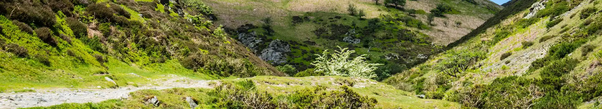 Carding Mill Valley campsites