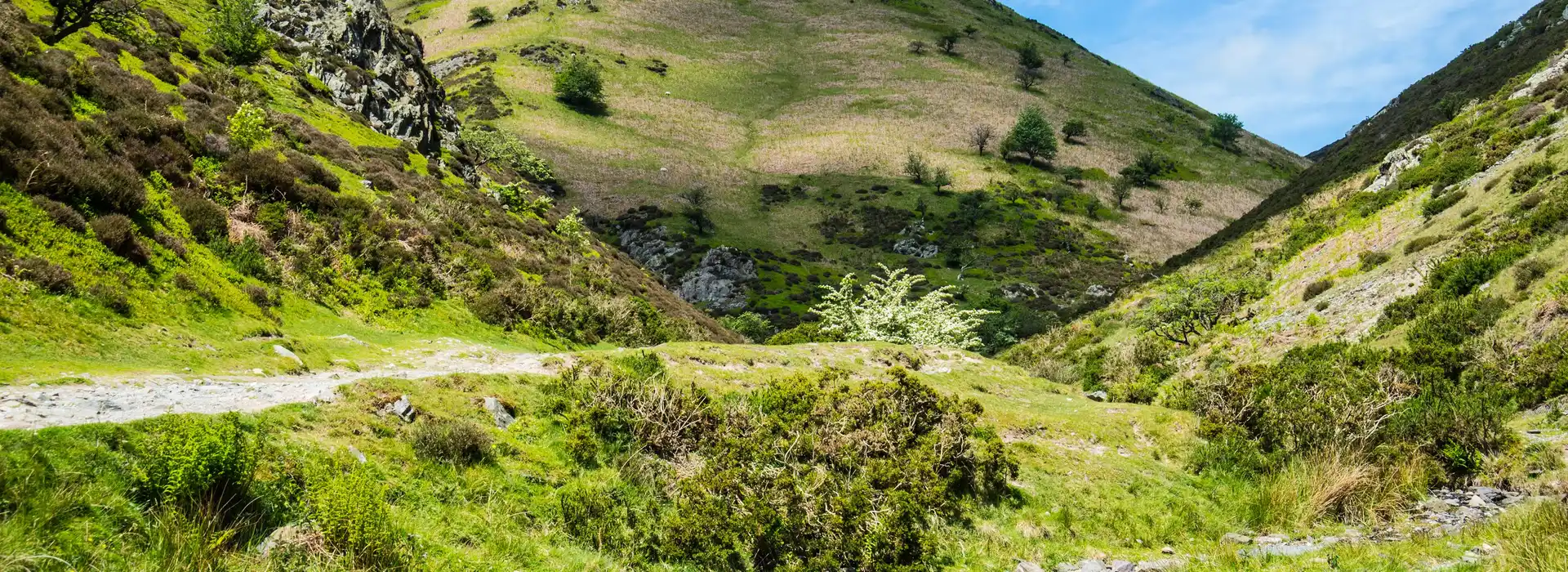 Carding Mill Valley campsites