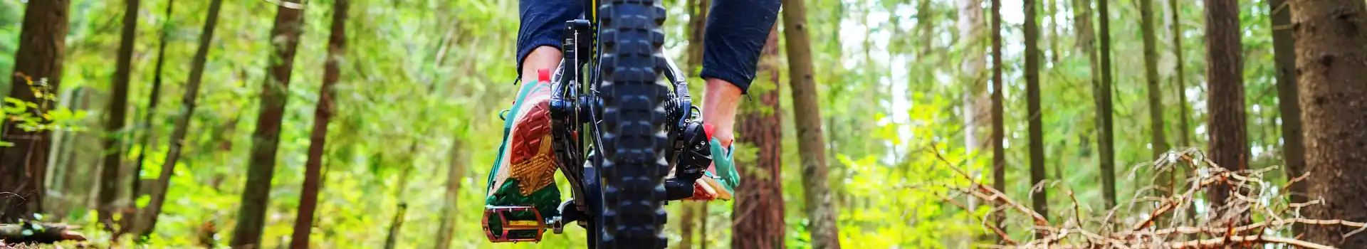 Gisburn Forest campsites