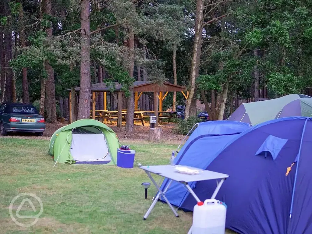 Electric grass and earth tent pitches (7m x 9m) 