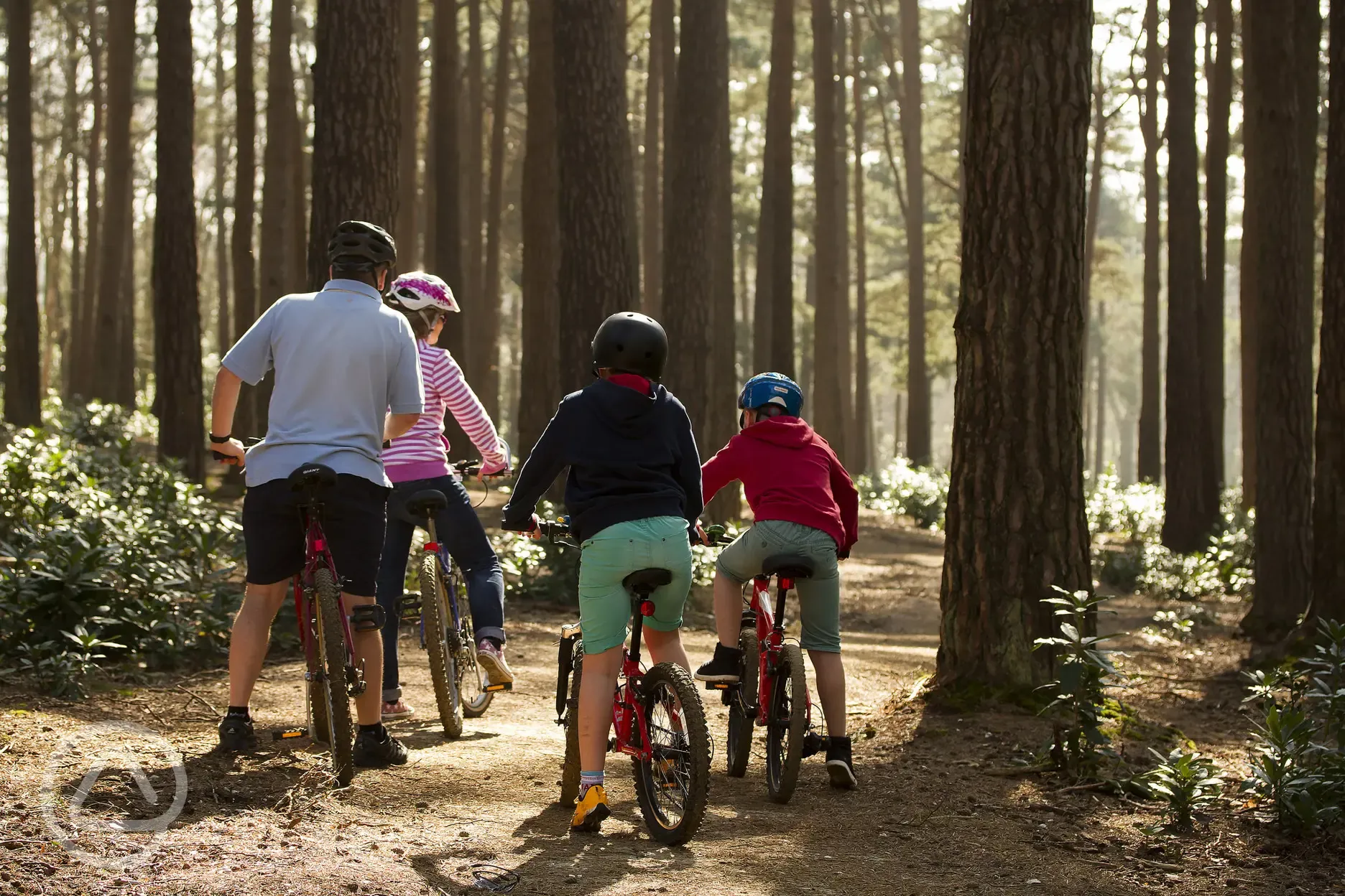 Cycle paths around Avon Tyrrell
