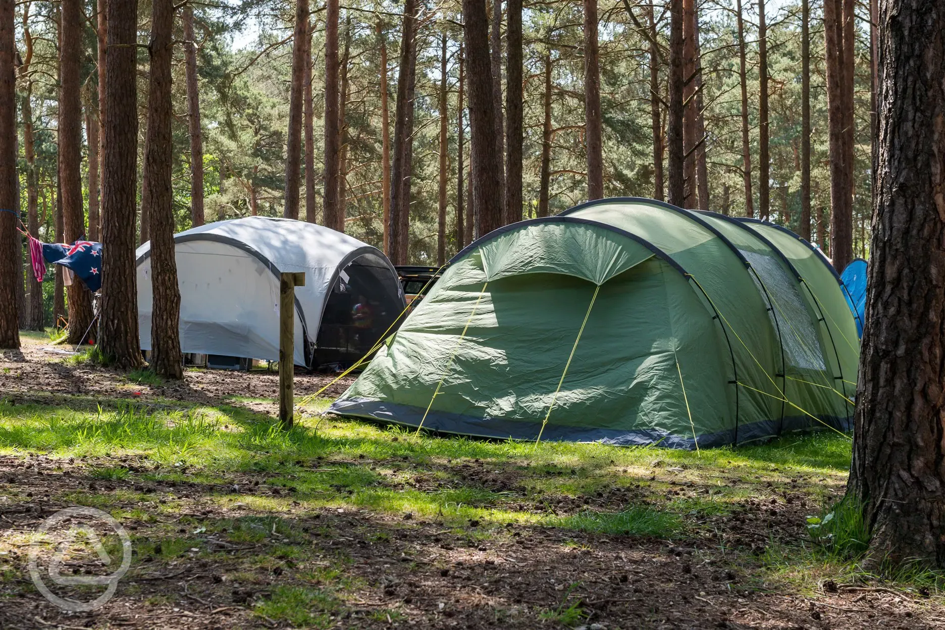 Non electric forest floor tent pitches (pet friendly)