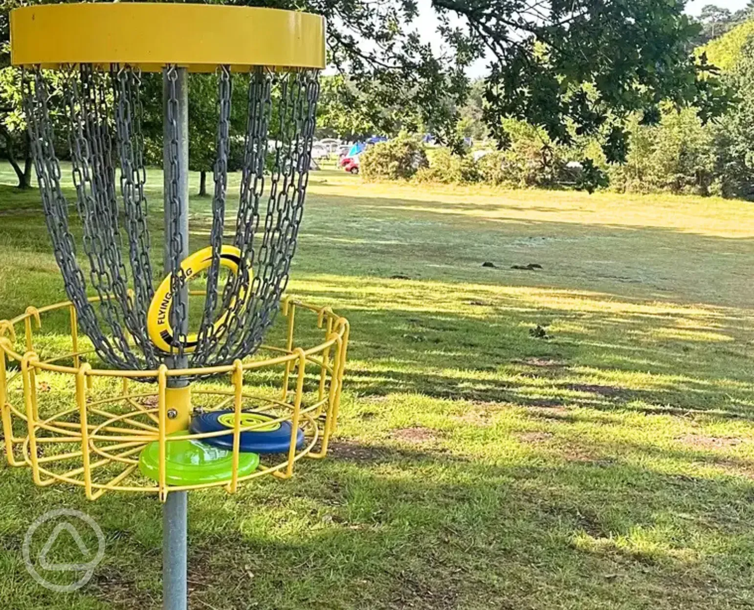 Frisbee golf