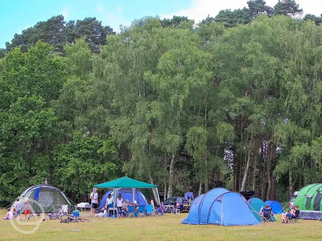Electric grass and earth tent pitches with 16 amp hook up