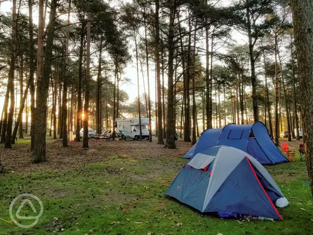 Non electric forest floor tent pitches (pet friendly)