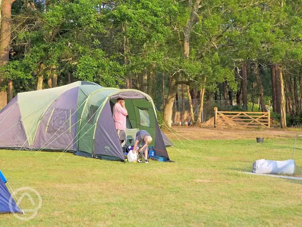 Lake view grass pitches at Avon Tyrrell