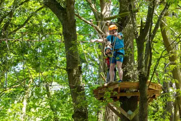Tree-Top Trail at Avon Tyrrell