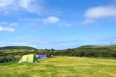 Grass pitches