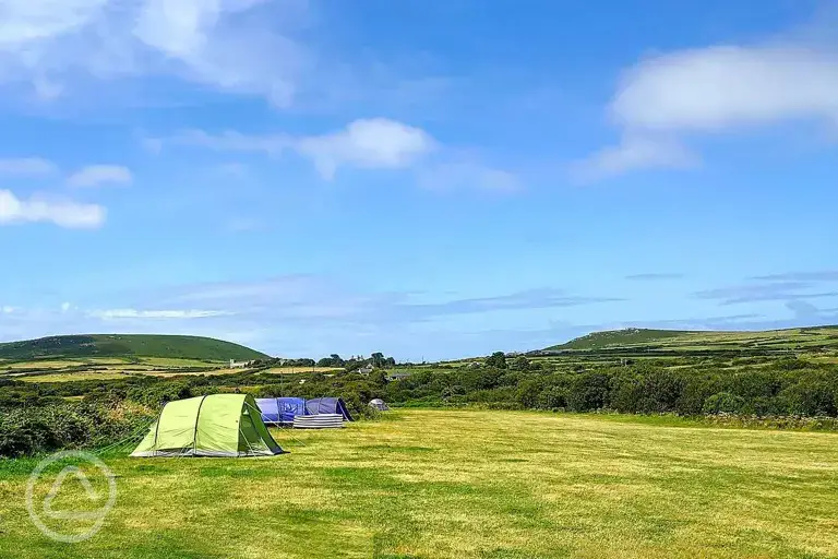 Grass pitches