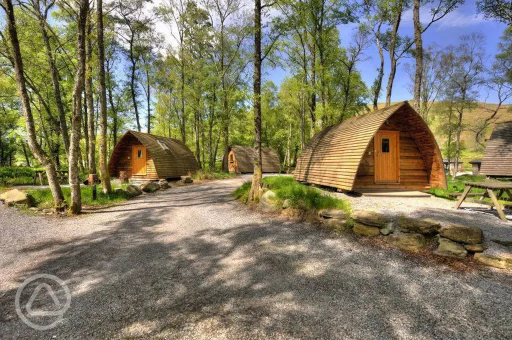 Dog friendly camping pods within a woodland setting